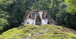 Site maya de Palenque, Chiapas, www.terre-maya.com