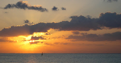 La playa à Playa del Carmen, www.terre-maya.com